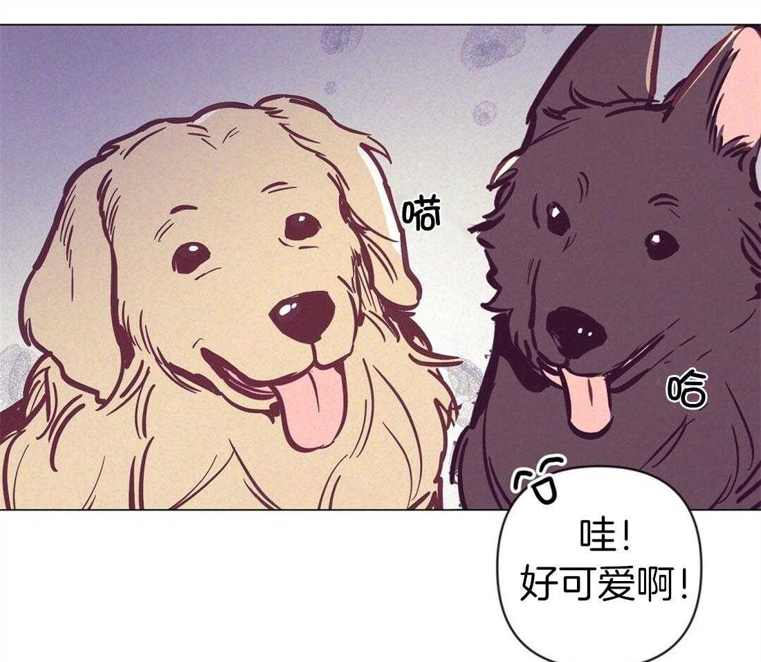 讹上大佬的后果第62话图