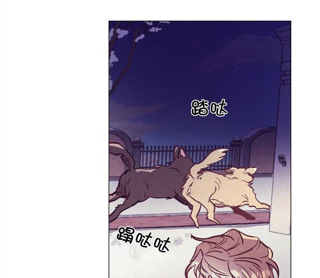 讹上大佬的后果第62话图