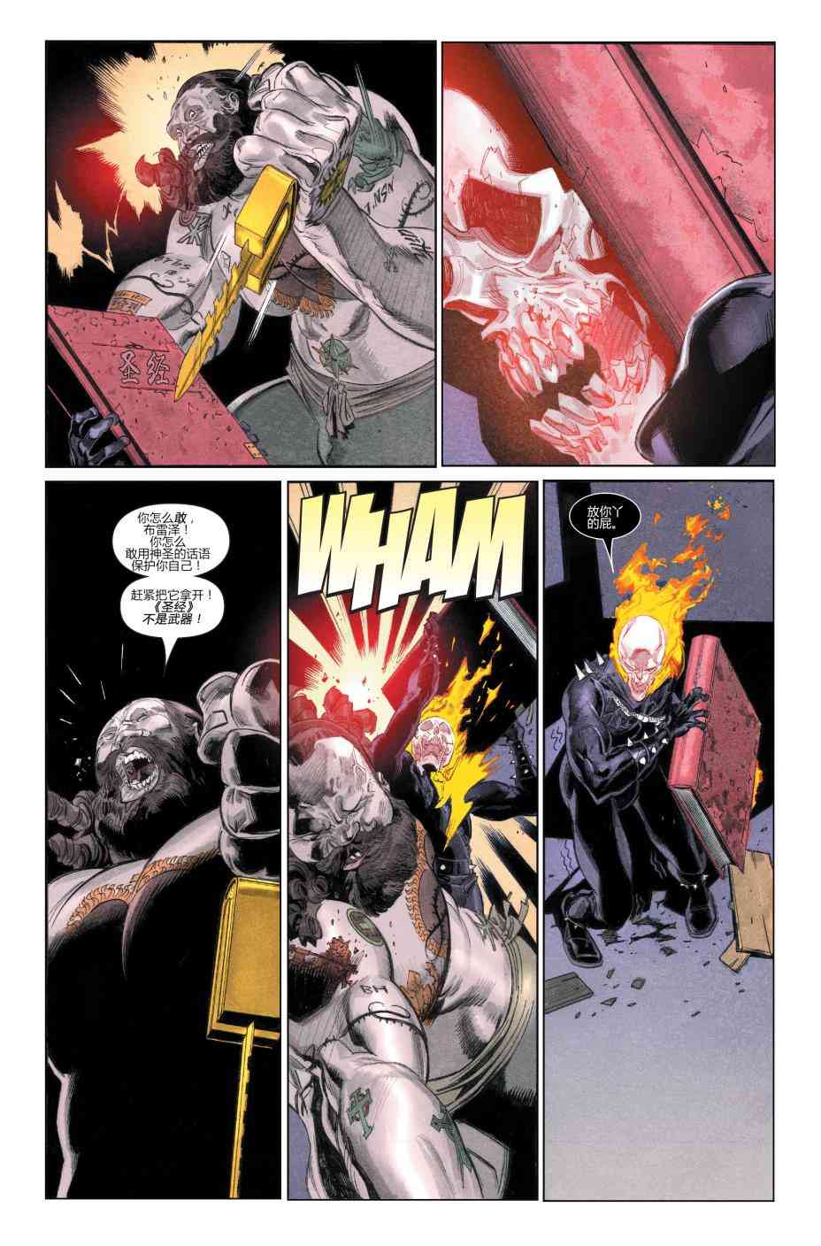 恶灵骑士v5 25卷 第17页