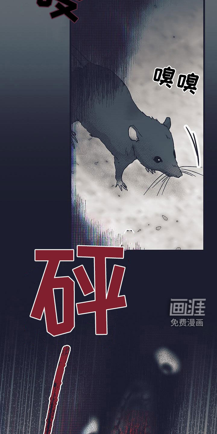 噩兆强袭第28话图