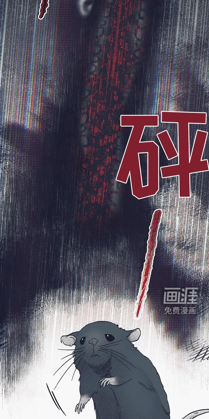 噩兆强袭第28话图