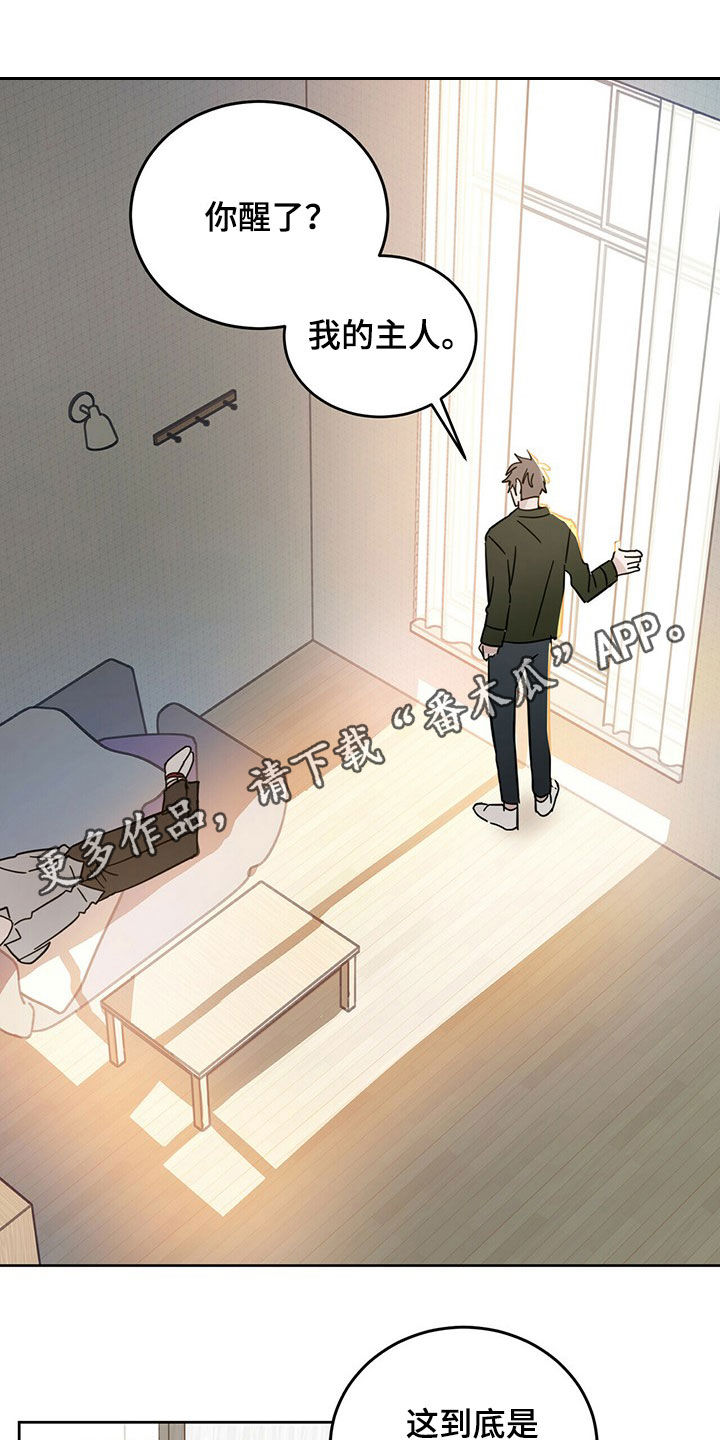 恶魔快出来第14话图