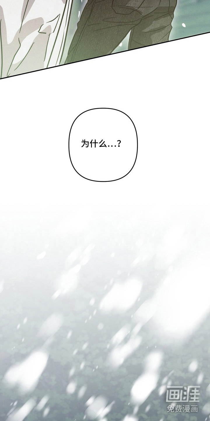 恶性吸引漫画-图13