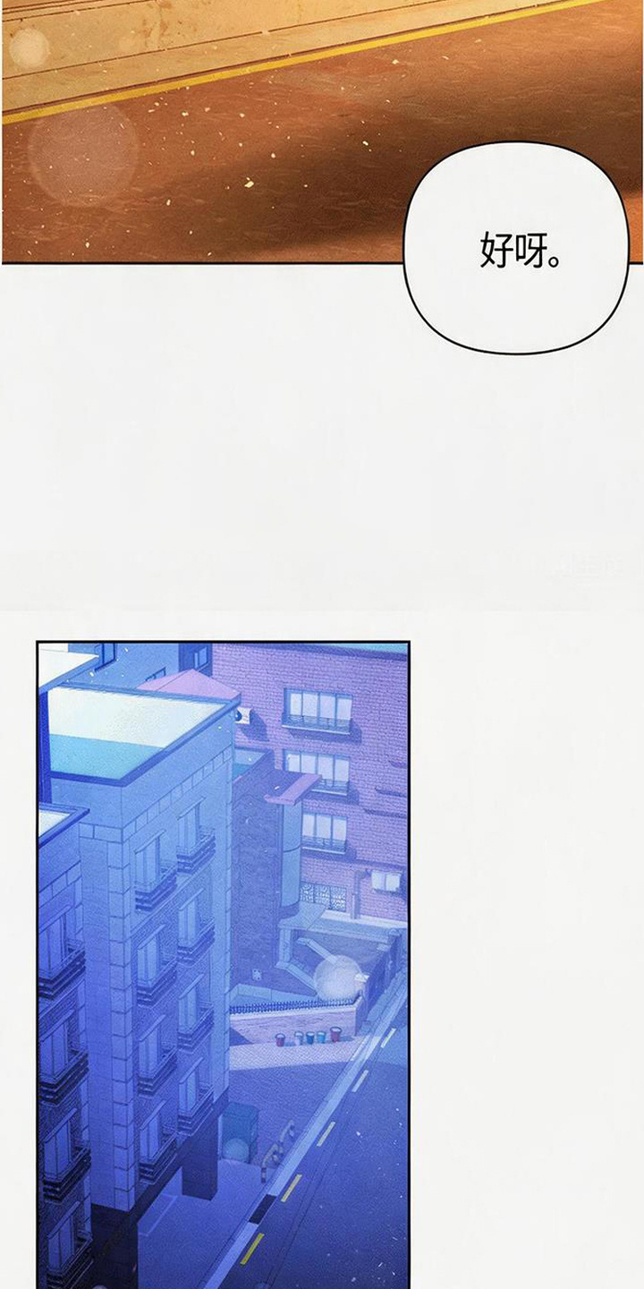 恩宠之夜漫画-图15