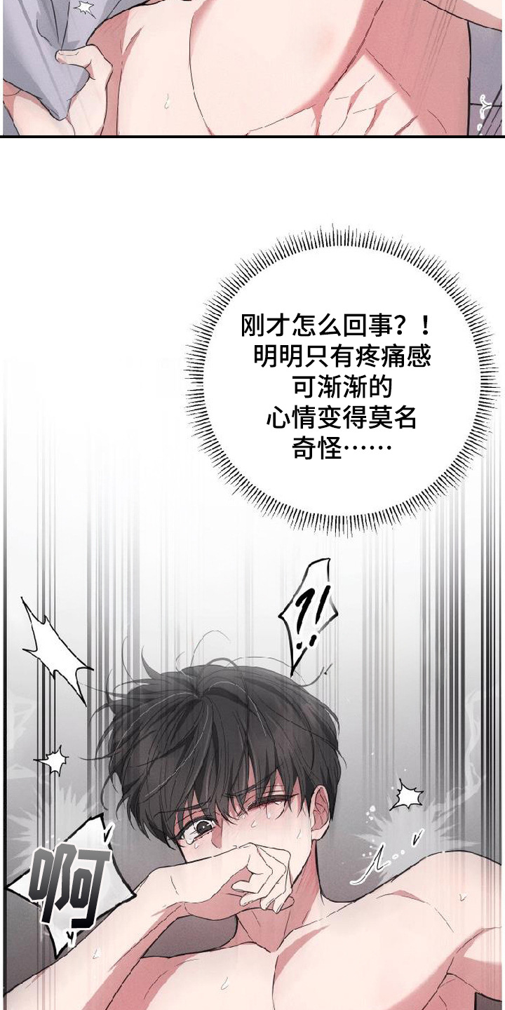 恩宠之夜漫画-图8