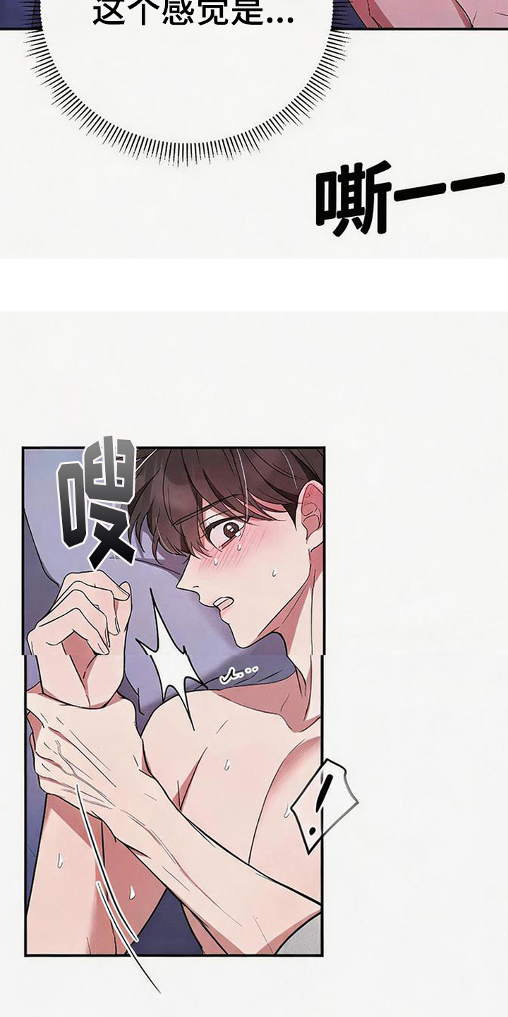 恩宠之夜漫画-图15