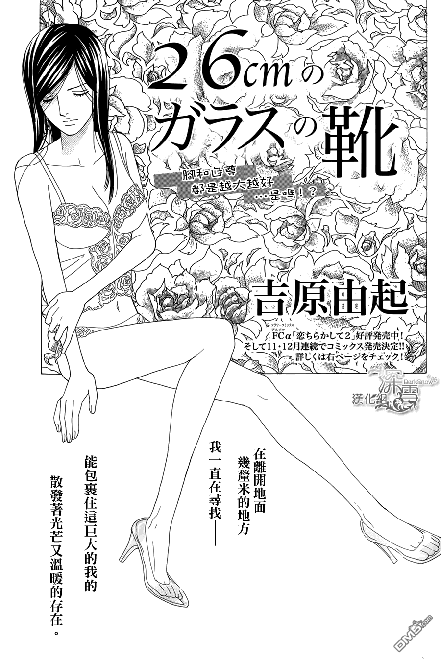 26cm的玻璃鞋全1话图