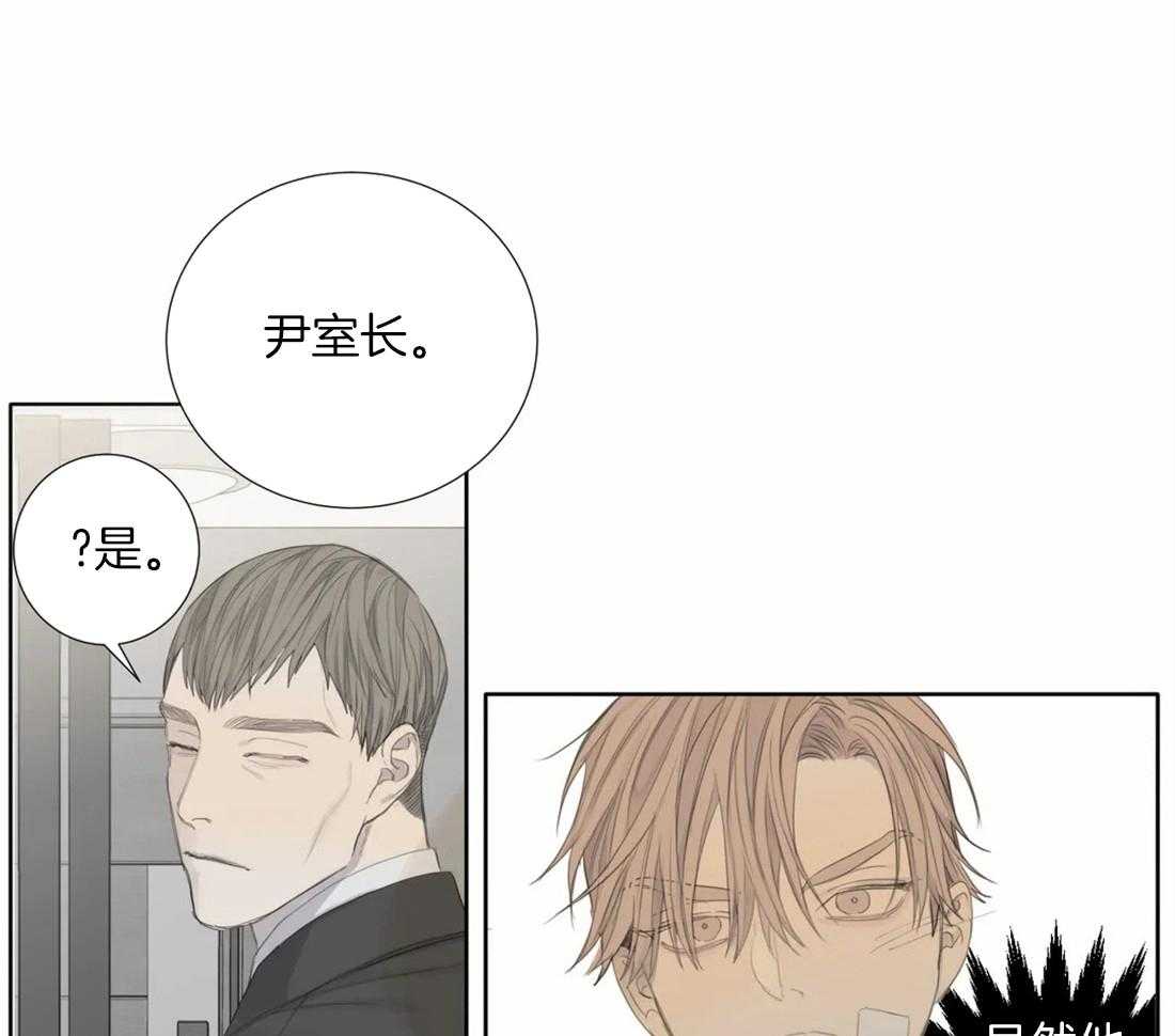 疯狂的毒第10话图