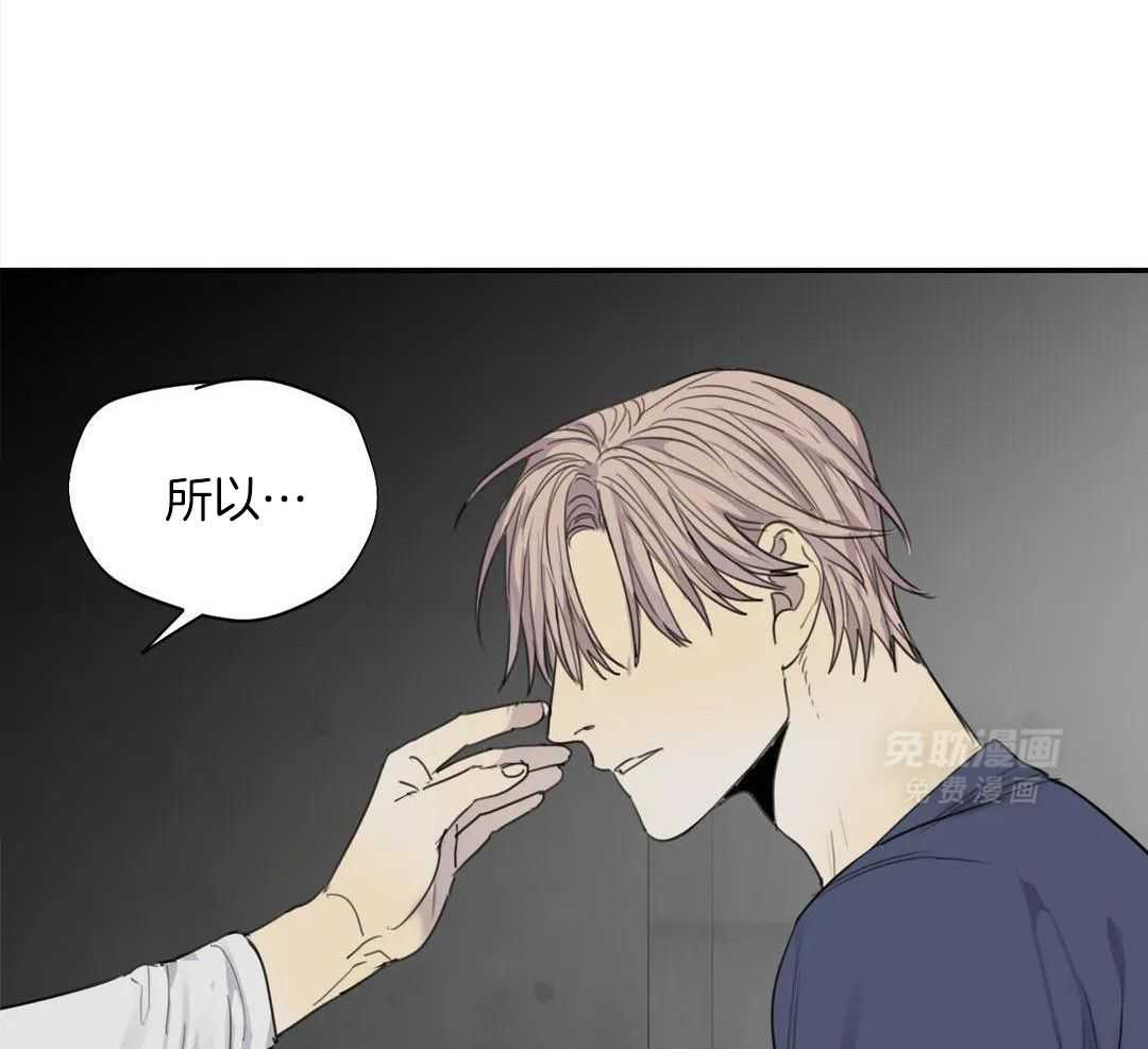 疯狂的毒第100话图