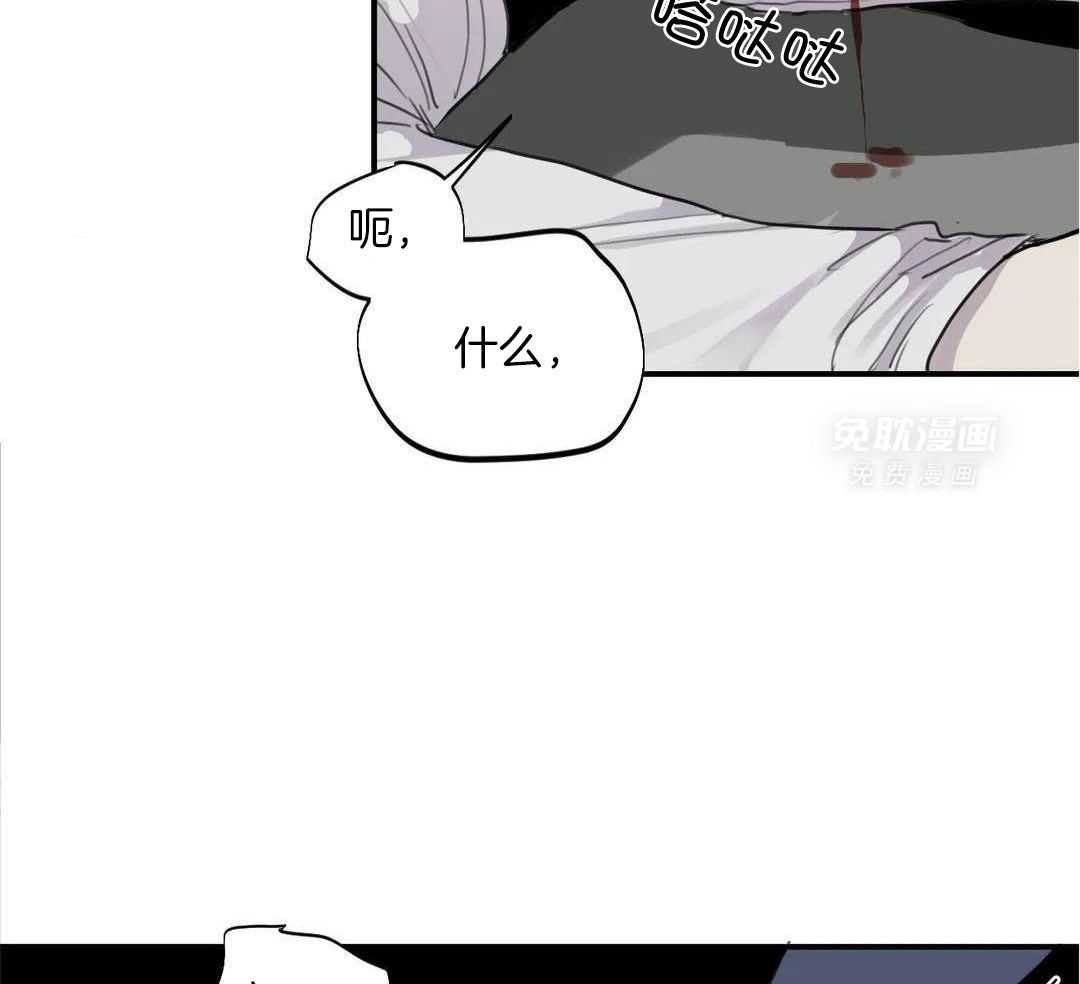 疯狂的毒第101话图