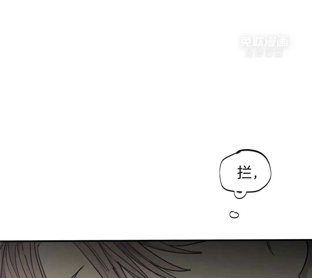 疯狂的毒第109话图