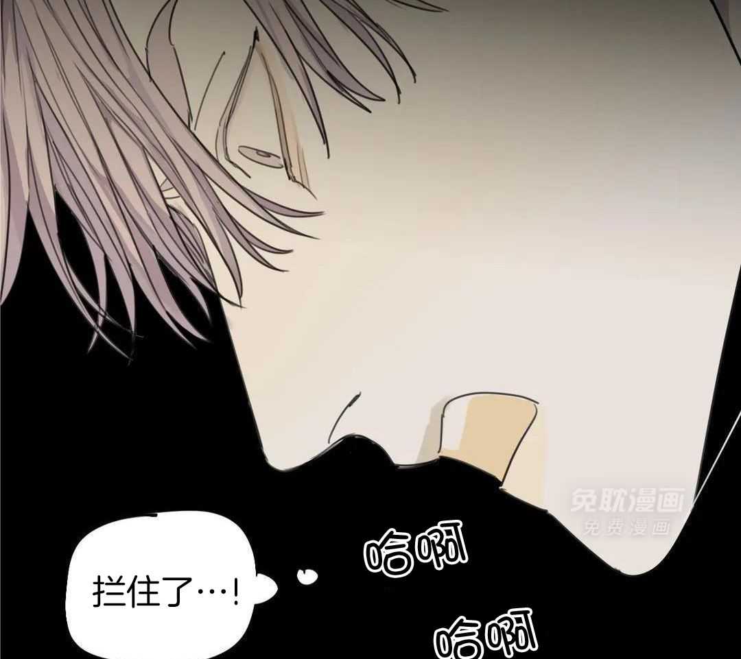 疯狂的毒第109话图