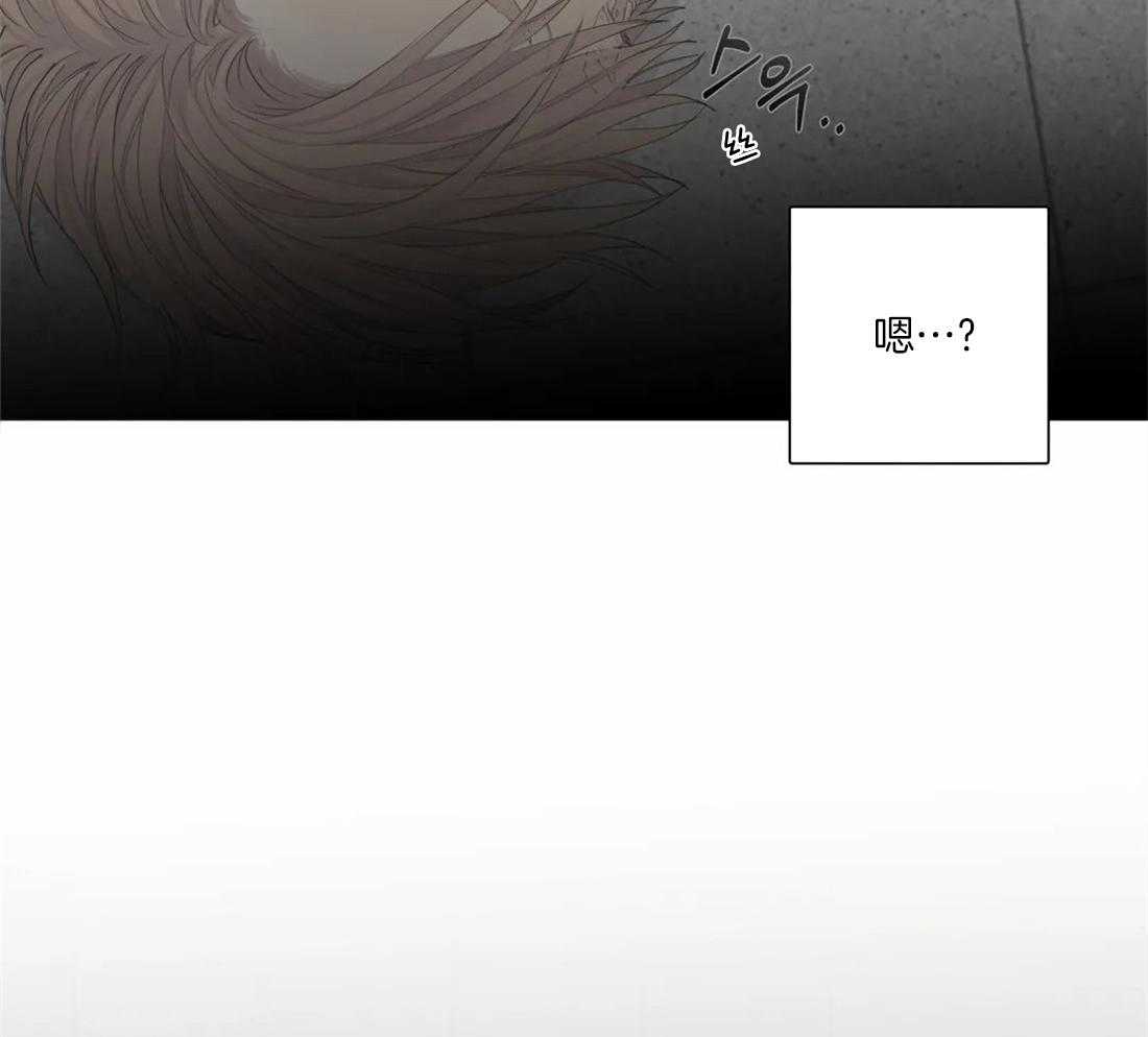 疯狂的毒第4话图