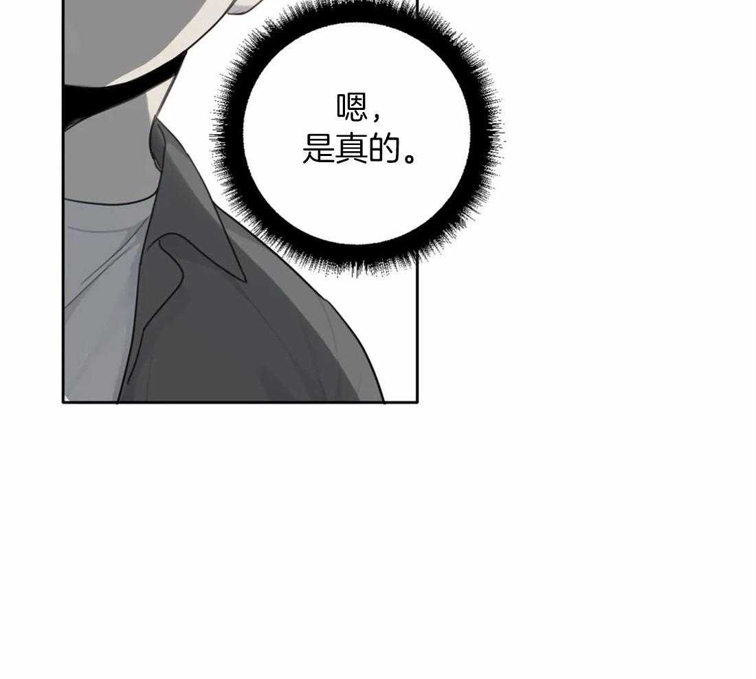疯狂的毒第40话图