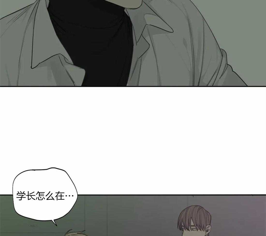 疯狂的毒第48话图