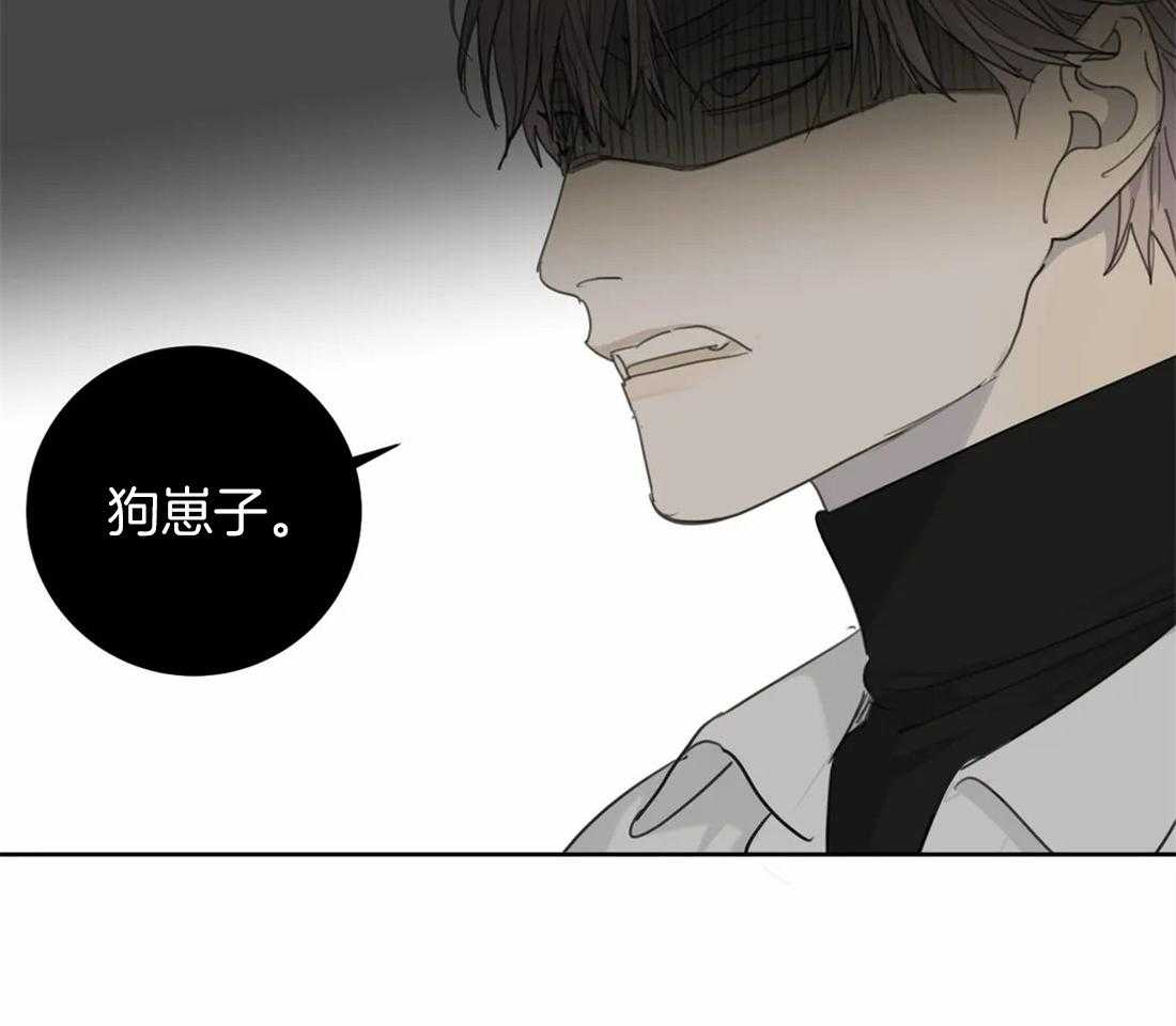 疯狂的毒第50话图