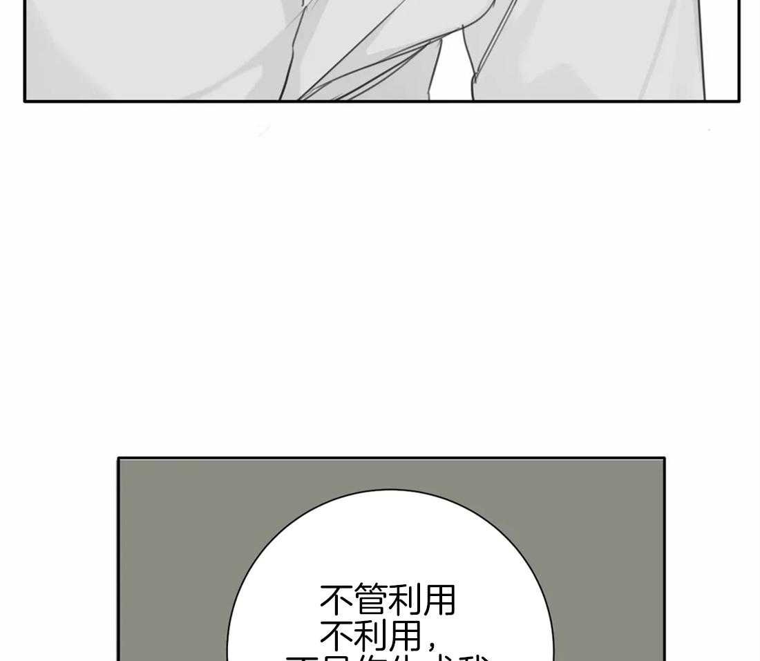 疯狂的毒第51话图