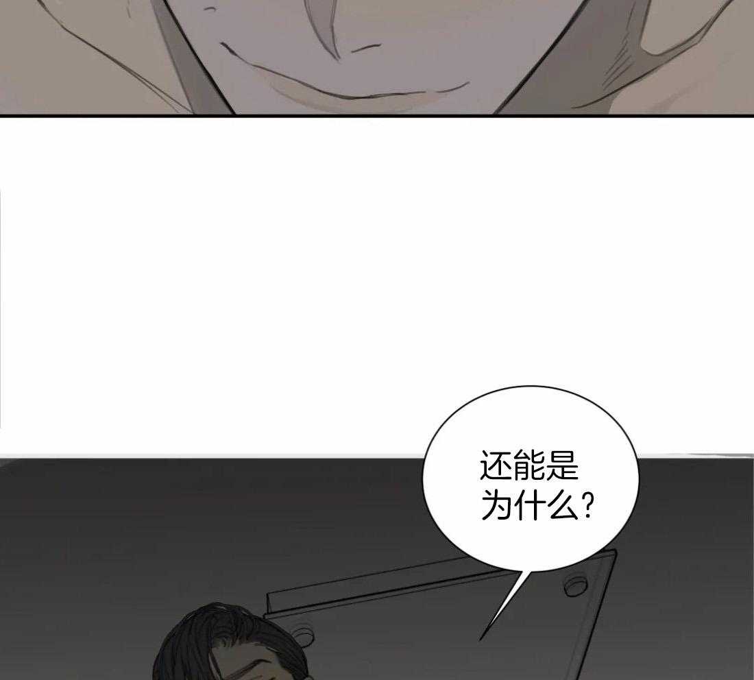疯狂的毒第54话图