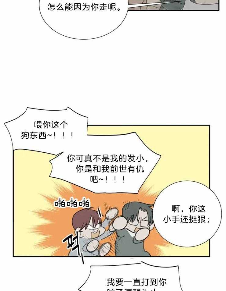 疯狂的毒第56话图