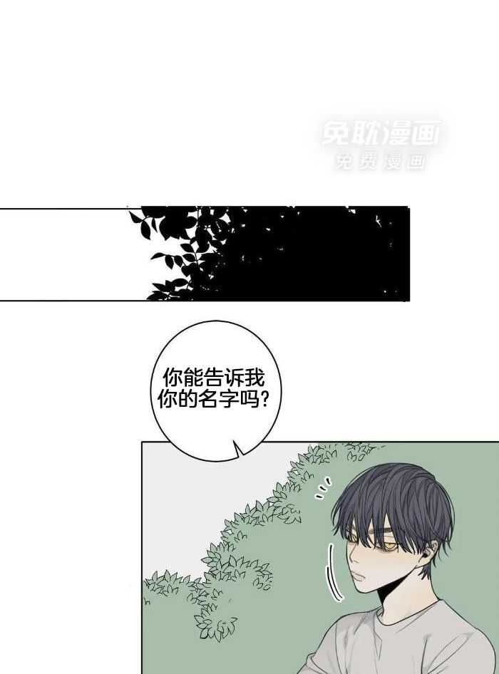 疯狂的毒第62话图