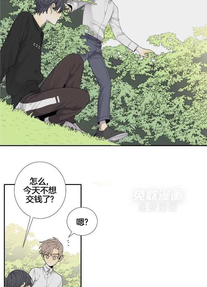 疯狂的毒第63话图