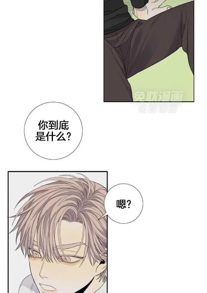 疯狂的毒漫画-图15