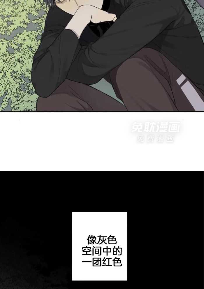 疯狂的毒漫画-图17