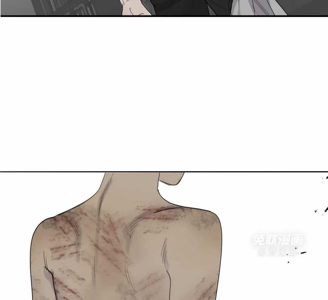 疯狂的毒第68话图