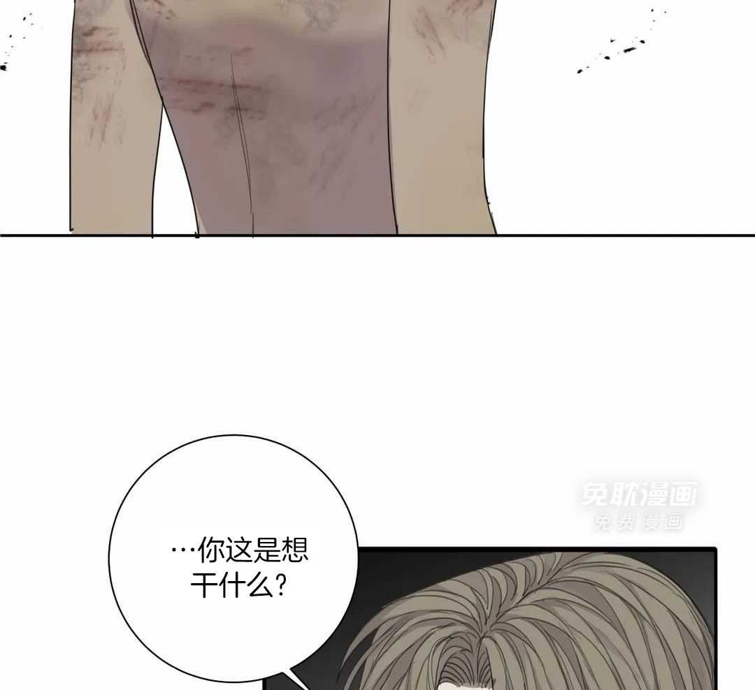 疯狂的毒第68话图