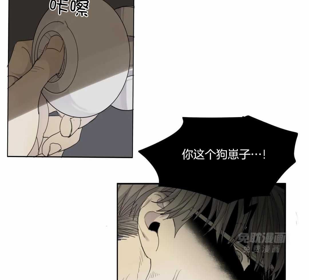 疯狂的毒第69话图