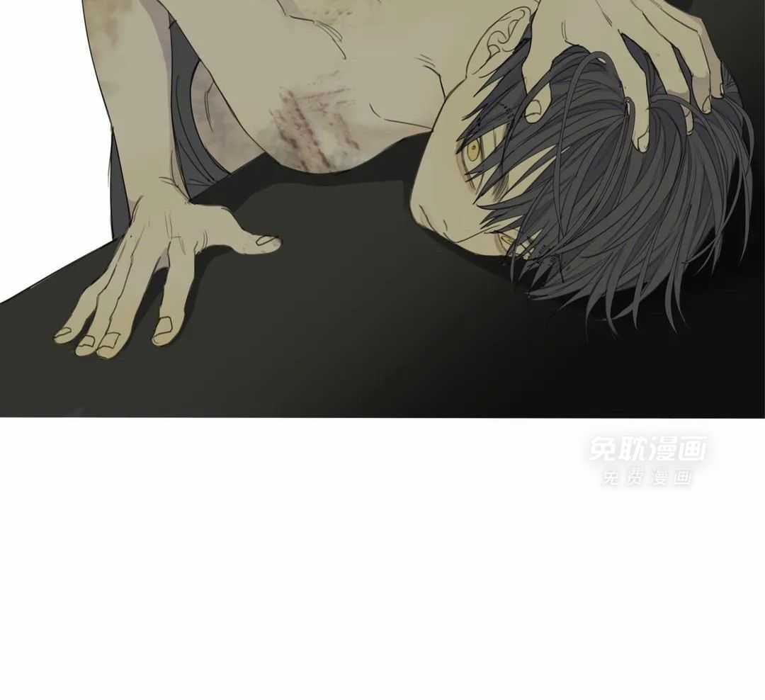 疯狂的毒第69话图