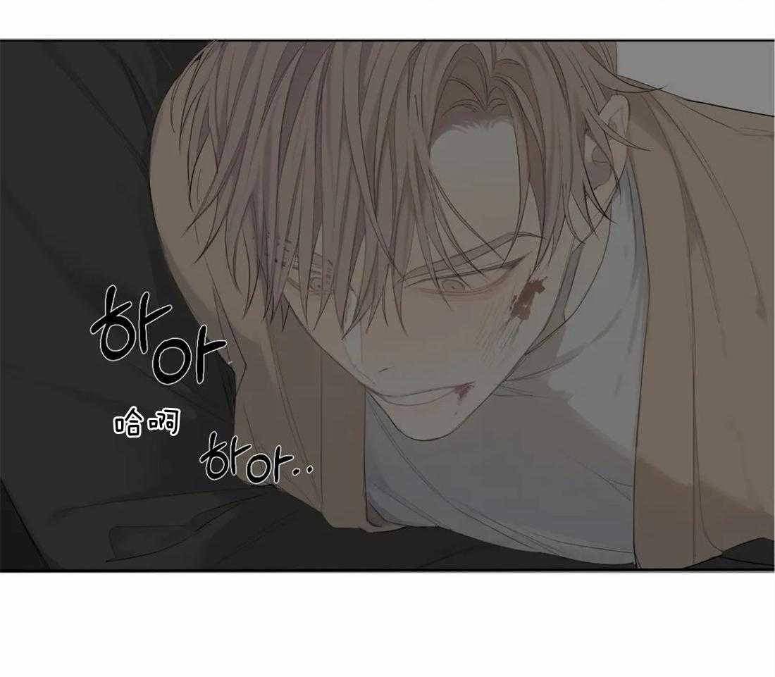 疯狂的毒第7话图