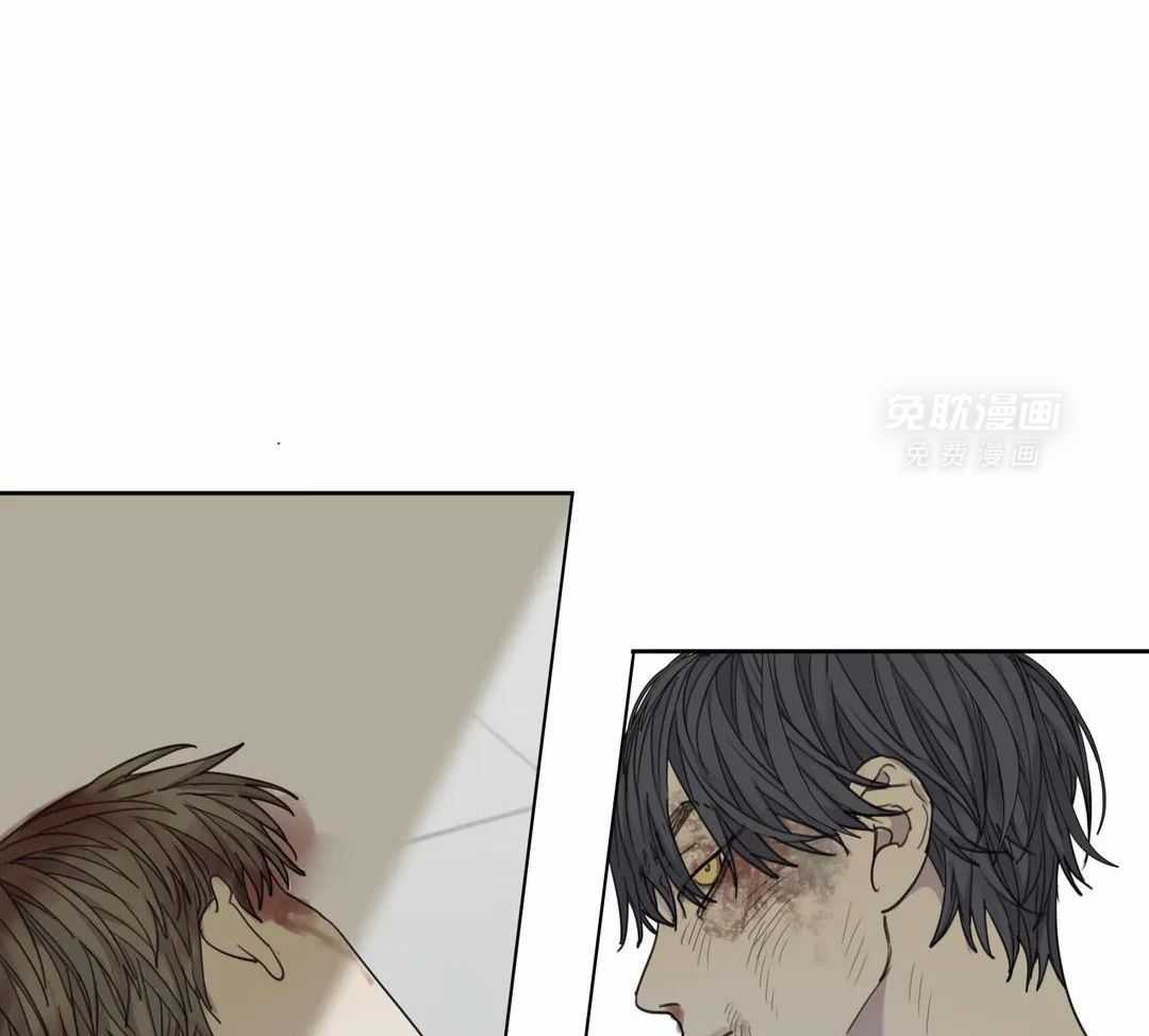 疯狂的毒第71话图