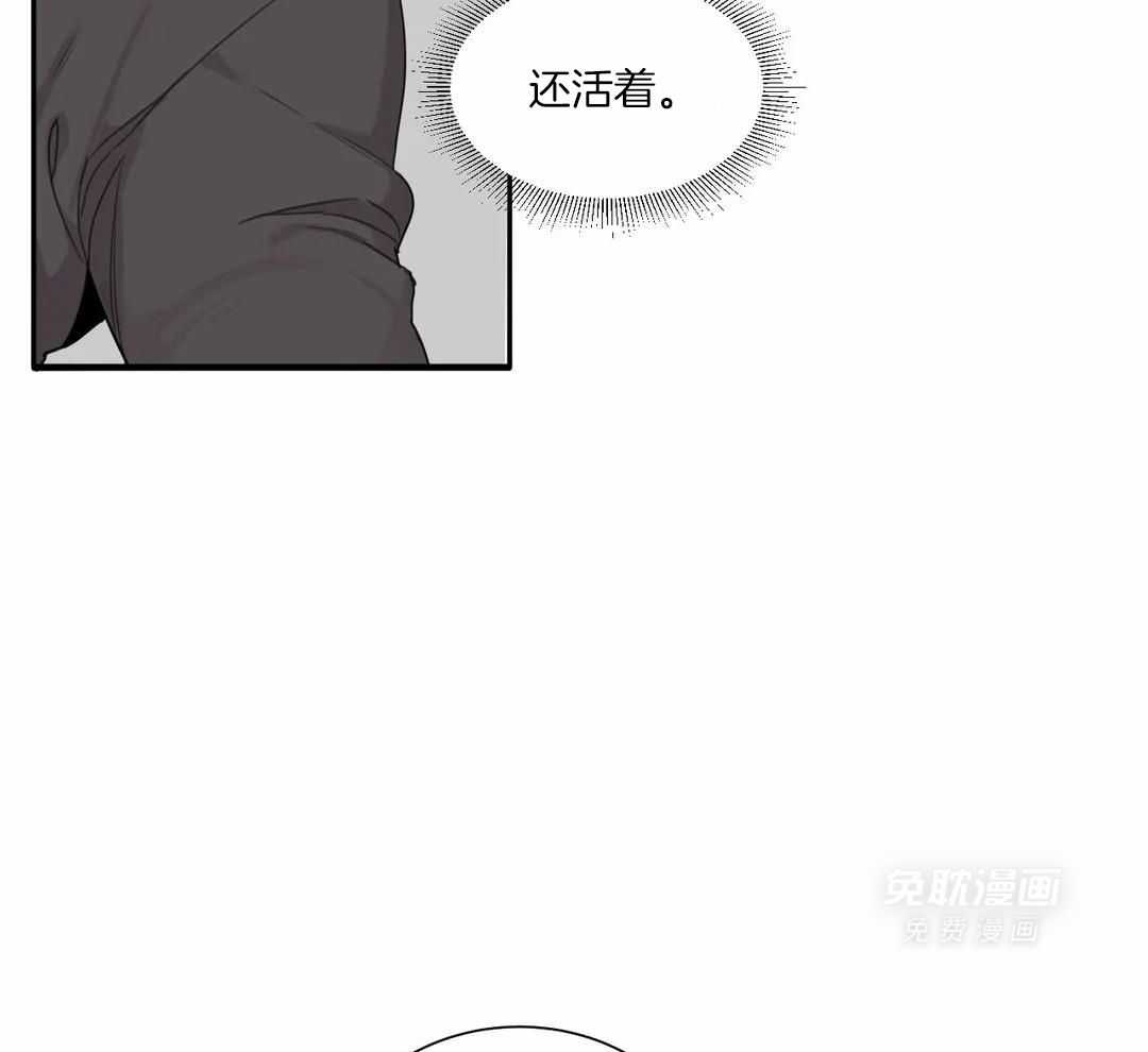 疯狂的毒第71话图