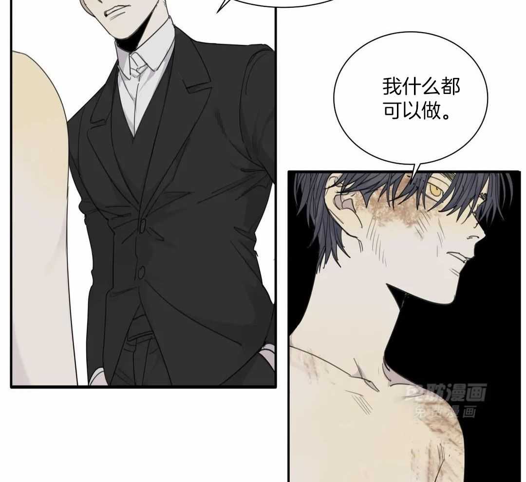 疯狂的毒第71话图