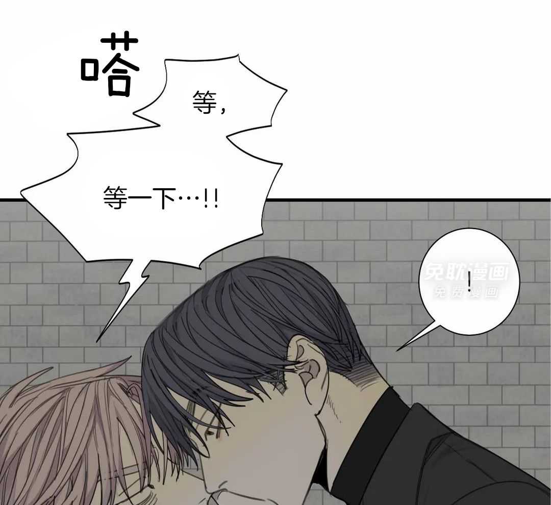 疯狂的毒第73话图