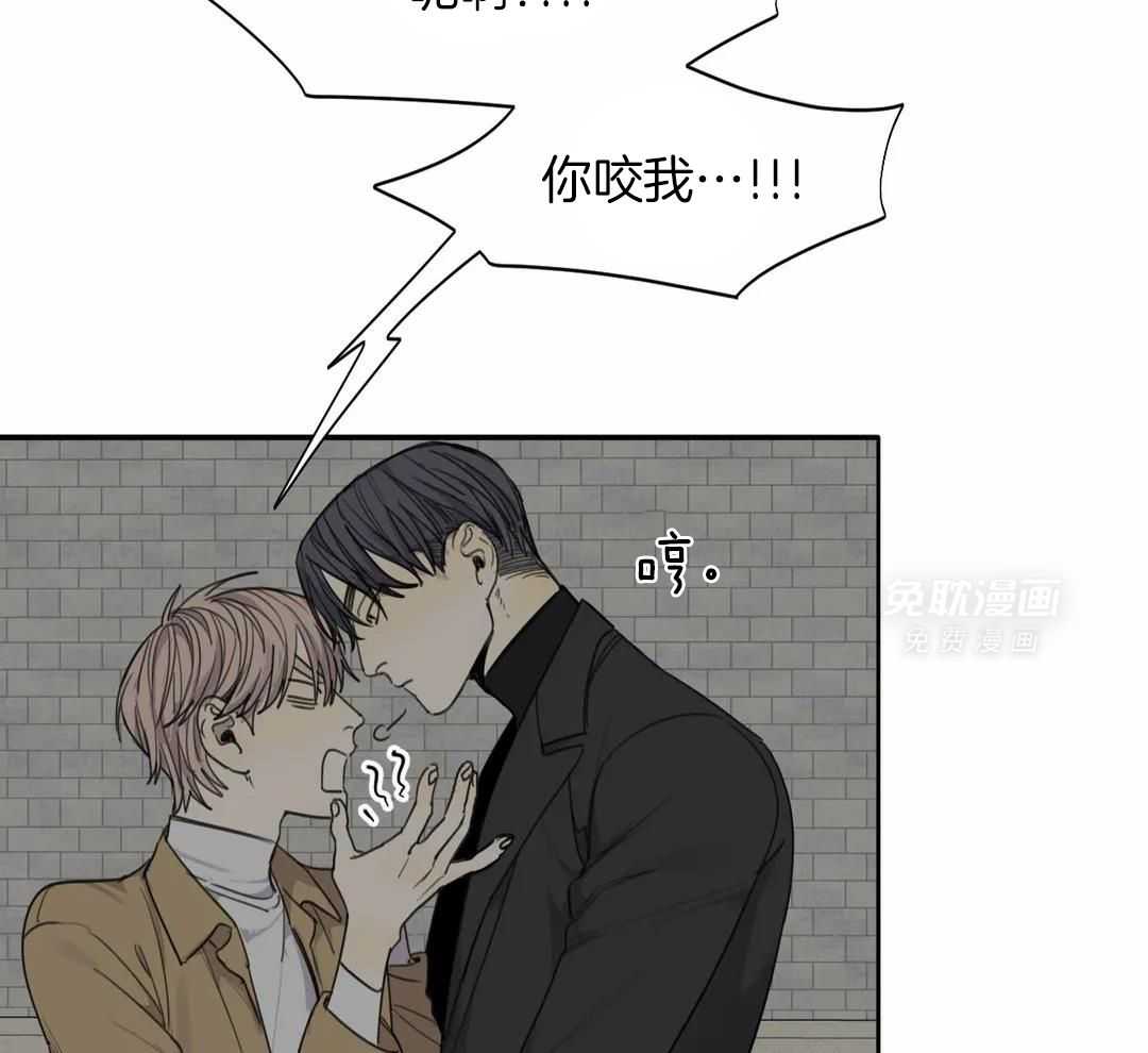 疯狂的毒第73话图