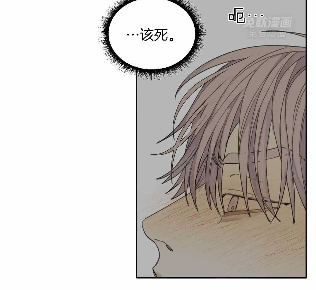 疯狂的毒第73话图