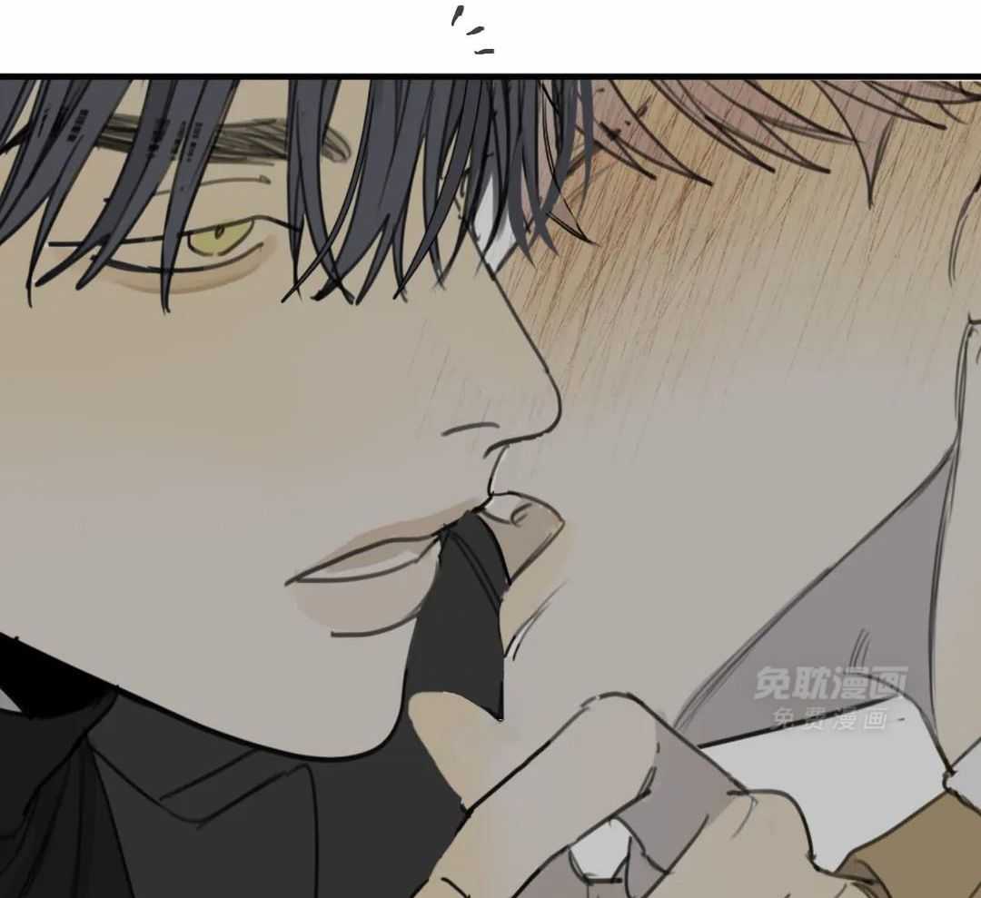 疯狂的毒第73话图