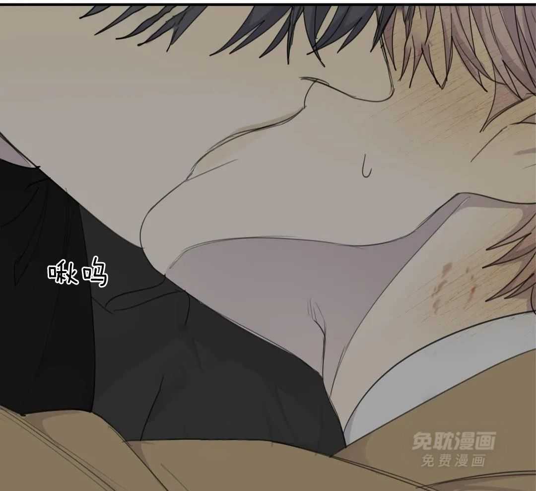 疯狂的毒第73话图