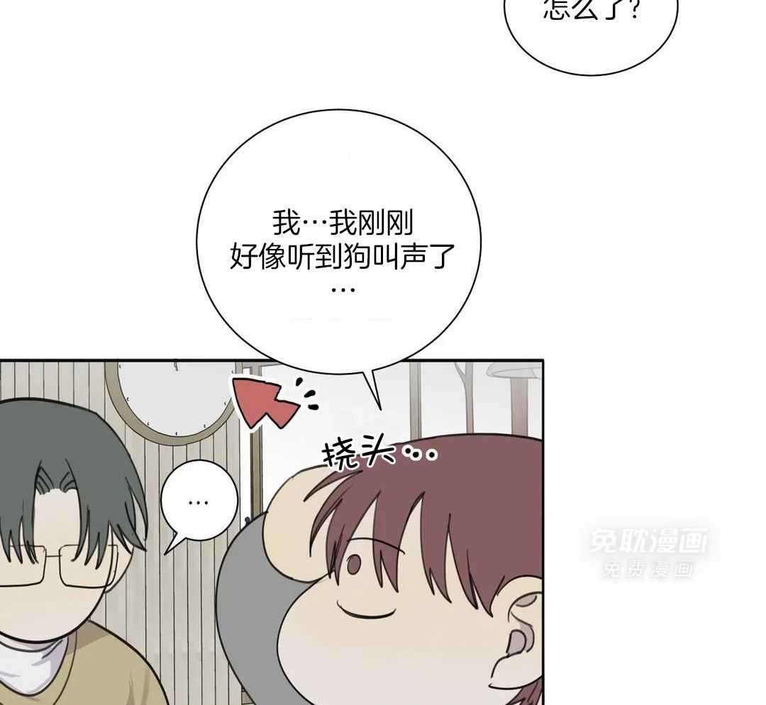 疯狂的毒第75话图