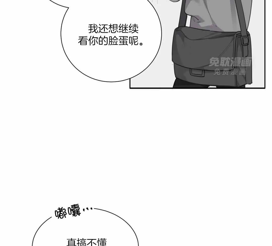 疯狂的毒第75话图