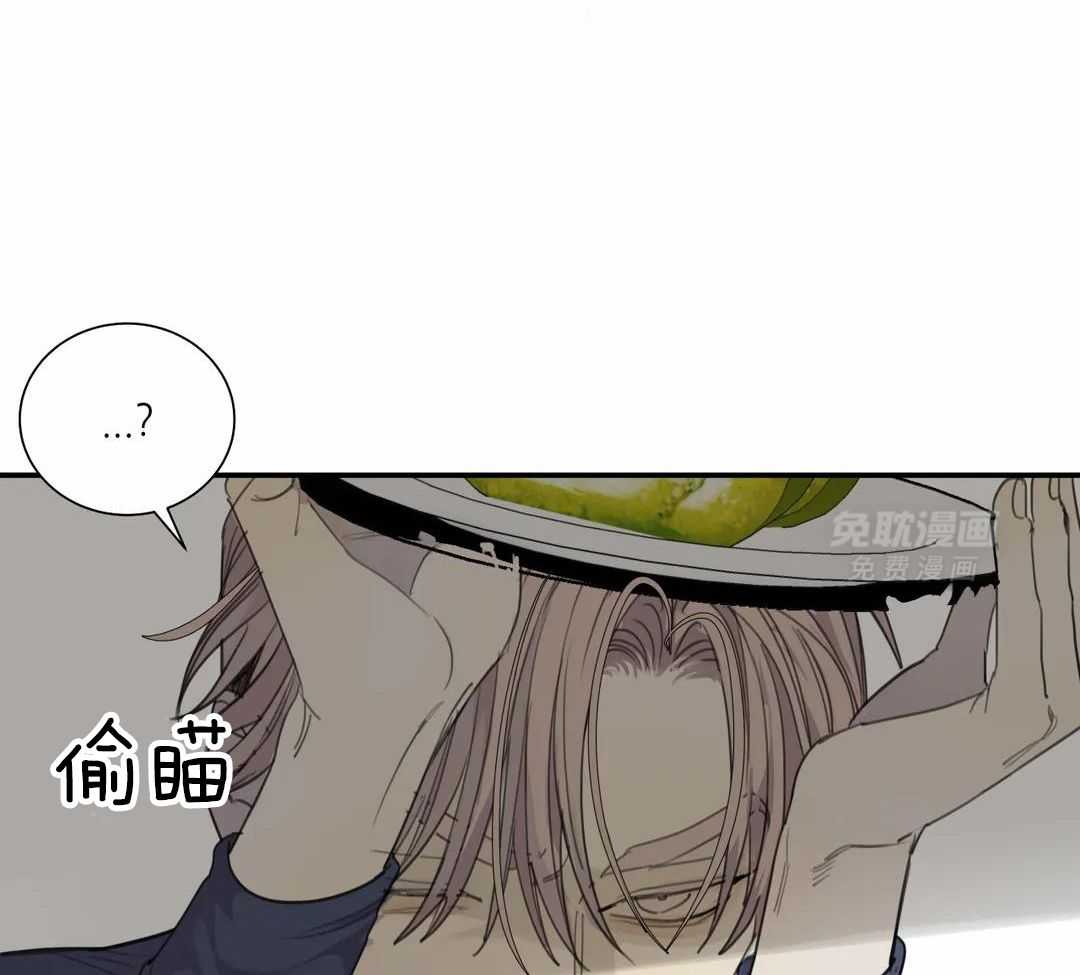 疯狂的毒第77话图