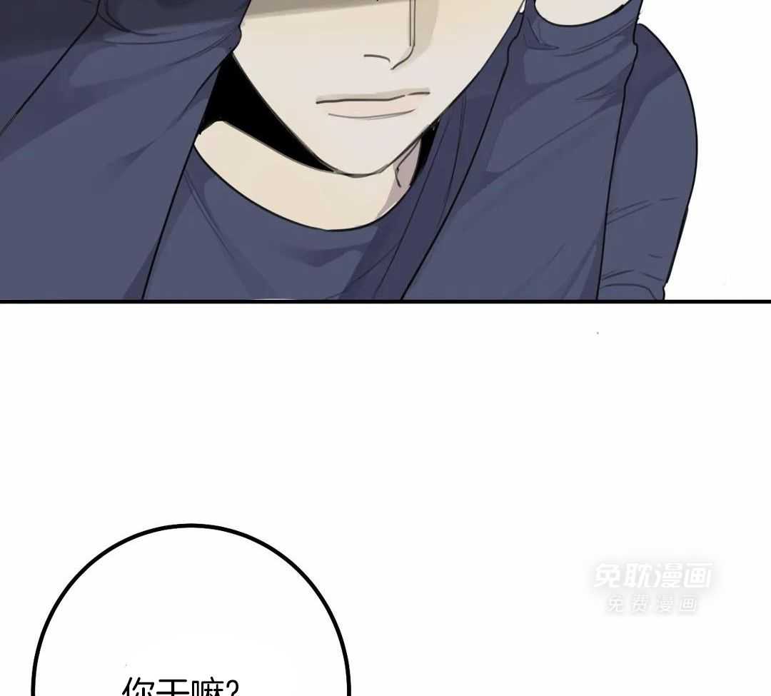 疯狂的毒第77话图