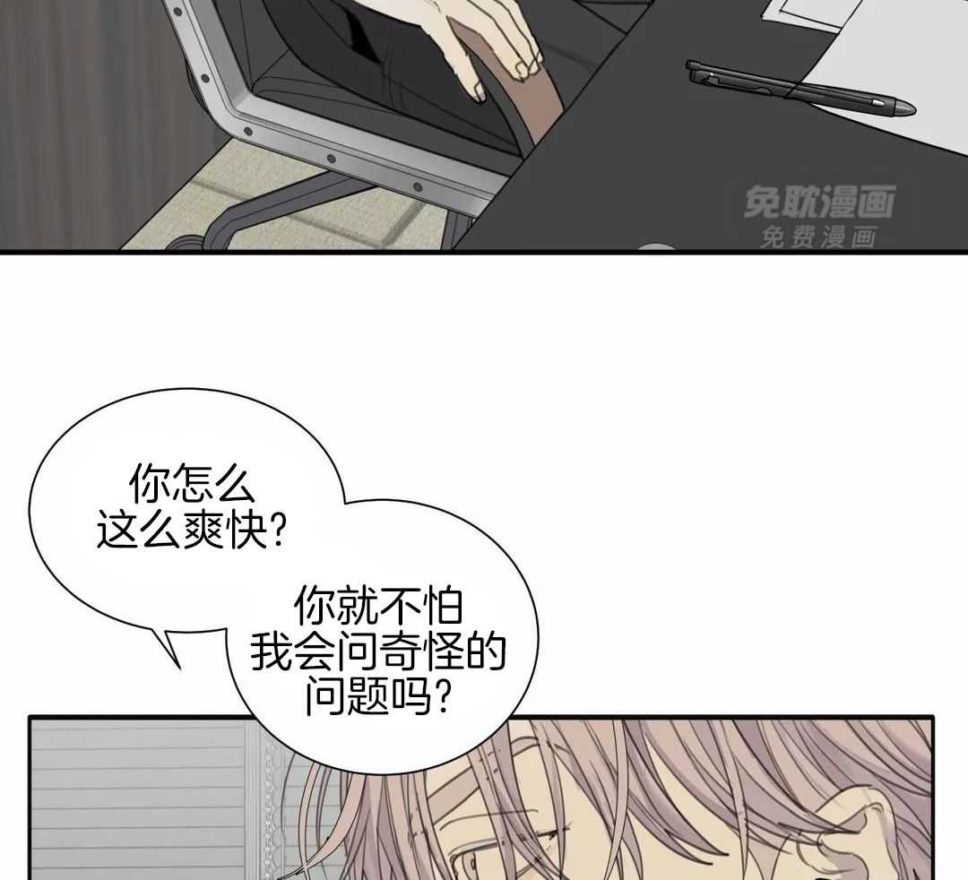 疯狂的毒第78话图