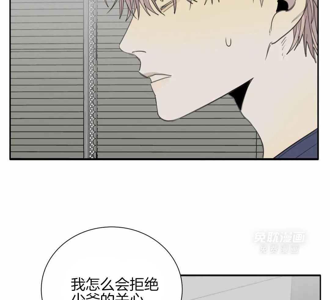 疯狂的毒第78话图