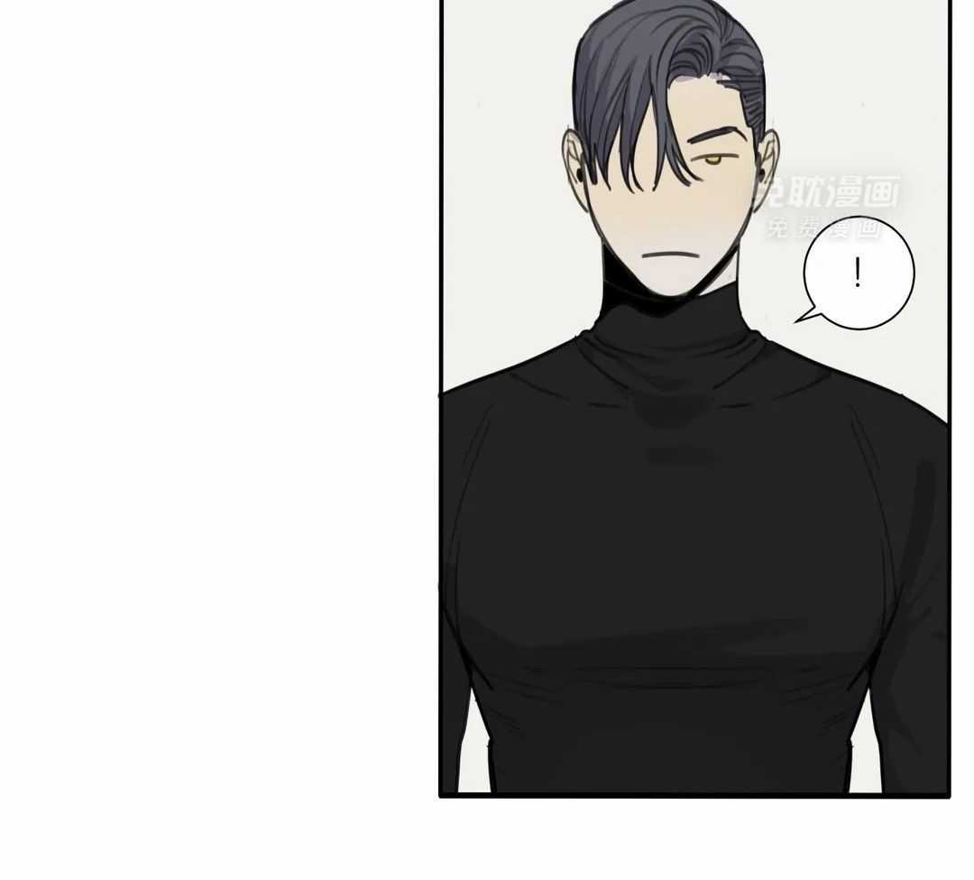 疯狂的毒第79话图