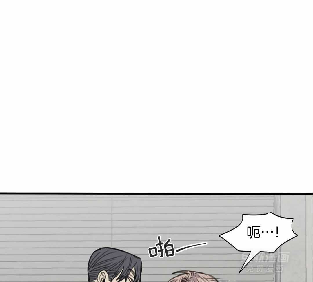 疯狂的毒第79话图