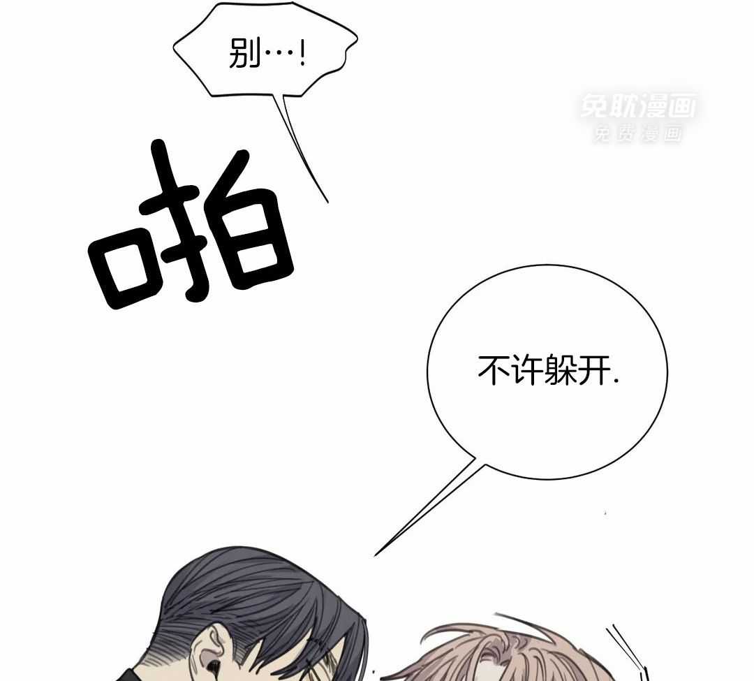 疯狂的毒第79话图