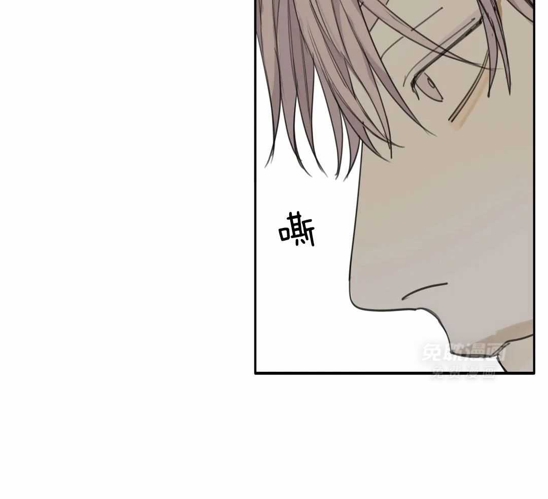 疯狂的毒第80话图